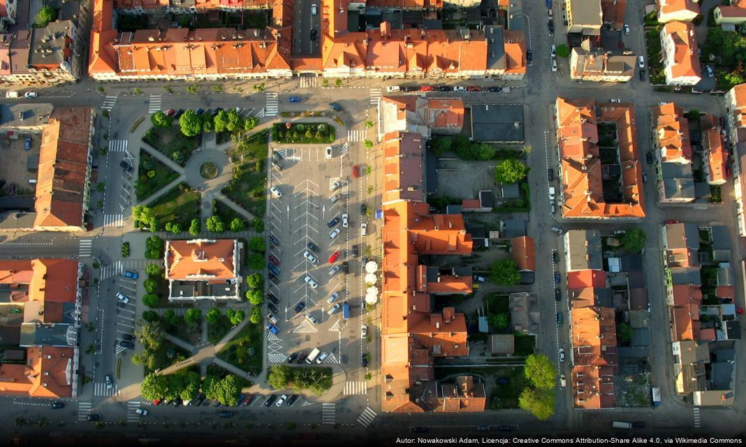 Exploration of Youth Volunteering Power in Działdowo